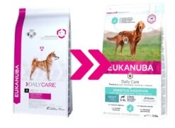 Eukanuba Daily Care Sensitive Digestion Pour Chien 12,5kg -Chats Et Chiens Fournitures eukanuba daily care sensitive digestion 2 3kg change