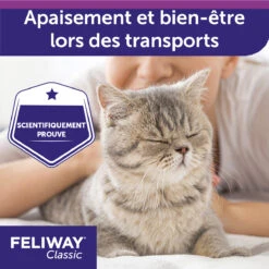 Feliway Spray 20ml -Chats Et Chiens Fournitures feliway spray 20ml 4 FR