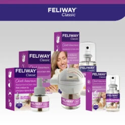 Feliway Spray 20ml -Chats Et Chiens Fournitures feliway spray 20ml 7 FR
