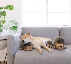 Zolux Peluche Hérisson -Chats Et Chiens Fournitures peluche herisson outwarddhound4