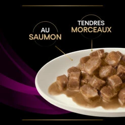 Purina Pro Plan Veterinary Diet UR Chat 10 Sachets De 85g Saumon -Chats Et Chiens Fournitures purina veterinary diet ur chat 10x85g saumon 1 FR