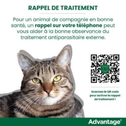 Advantage 80 Chat Et Lapin De Plus De 4 Kg -Chats Et Chiens Fournitures rappel traitement advantage FR 1