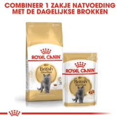Royal Canin British Shorthair Pour Chat 10kg -Chats Et Chiens Fournitures rc fbn britishsh cv eretailkit 4 nl nl