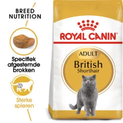 Royal Canin British Shorthair Pour Chat 10kg -Chats Et Chiens Fournitures rc fbn britishsh mv eretailkit nl nl
