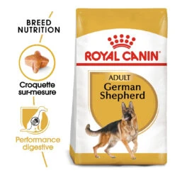 Royal Canin Berger Allemand Adult Pour Chien 11kg -Chats Et Chiens Fournitures royal canin berger allemand adult german shepherd berger allemand adulte german shepherd 1