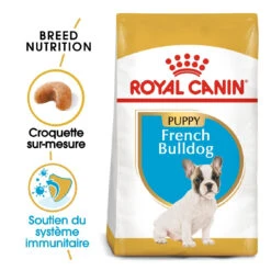 Royal Canin French Bulldog Chiot Pour Chien 10kg -Chats Et Chiens Fournitures royal canin bouledogue francais puppy bouledogue francais junior 1