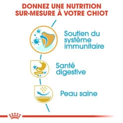 Royal Canin French Bulldog Chiot Pour Chien 10kg -Chats Et Chiens Fournitures royal canin bouledogue francais puppy bouledogue francais junior 2