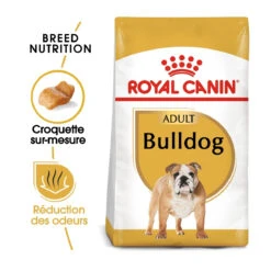 Royal Canin Bulldog Anglais Adult Pour Chien 12kg -Chats Et Chiens Fournitures royal canin boulldog anglais adult bulldog bouledogue anglais bulldog 1