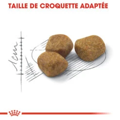 Royal Canin Fit 32 Chat Adult 10kg -Chats Et Chiens Fournitures royal canin fit fit 2