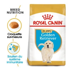 Royal Canin Golden Retriever Chiot Pour Chien 12kg -Chats Et Chiens Fournitures royal canin golden retriever puppy golden retriever junior 1