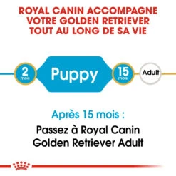 Royal Canin Golden Retriever Chiot Pour Chien 12kg -Chats Et Chiens Fournitures royal canin golden retriever puppy golden retriever junior 3