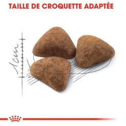 Royal Canin Indoor 27 Adult Pour Chat 10kg -Chats Et Chiens Fournitures royal canin indoor indoor 1