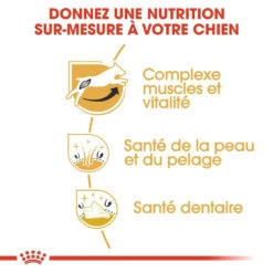 Royal Canin Jack Russell Adult Pour Chien 7,5kg -Chats Et Chiens Fournitures royal canin jack russell adult jack russell adulte 2