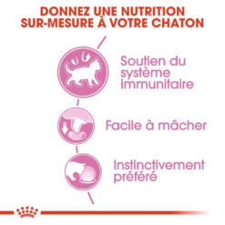 Royal Canin Kitten Sachet - Emincé En Sauce -Chats Et Chiens Fournitures royal canin kitten sauce pour chaton royal canin 2
