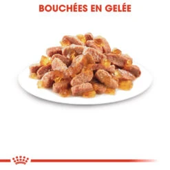 Royal Canin Kitten Sterilised -Chats Et Chiens Fournitures royal canin kitten sterilised kitten sterilised lot x g 1 1