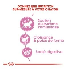 Royal Canin Kitten Sterilised -Chats Et Chiens Fournitures royal canin kitten sterilised kitten sterilised 3 1