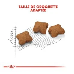 Royal Canin Kitten Sterilised -Chats Et Chiens Fournitures royal canin kitten sterilised kitten sterilised 4 1