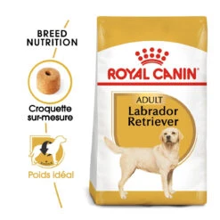 Royal Canin Labrador Retriever Adult Pour Chien 12kg 7 Royal Canin Labrador Retriever Adult Pour Chien 12kg -Chats Et Chiens Fournitures royal canin labrador retriever adult croquettes pour chien labrador retriever adulte 1