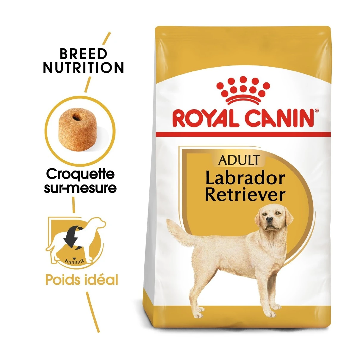 Royal Canin Labrador Retriever Adult Pour Chien 12kg 3 Royal Canin Labrador Retriever Adult Pour Chien 12kg – Image 3
