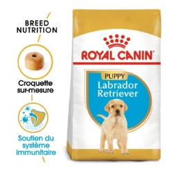 Royal Canin Labrador Retriever Chiot Pour Chien 3kg -Chats Et Chiens Fournitures royal canin labrador retriever puppy labrador retriever junior 1