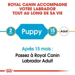 Royal Canin Labrador Retriever Chiot Pour Chien 3kg -Chats Et Chiens Fournitures royal canin labrador retriever puppy labrador retriever junior 3