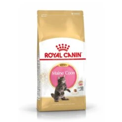 Royal Canin Maine Coon Chaton Pour Chat 10kg -Chats Et Chiens Fournitures royal canin maine coon kitten maine coon kitten