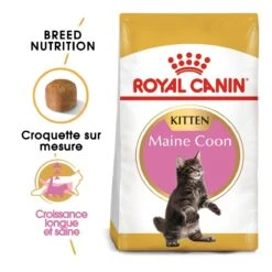Royal Canin Maine Coon Chaton Pour Chat 10kg -Chats Et Chiens Fournitures royal canin maine coon kitten maine coon kitten 1