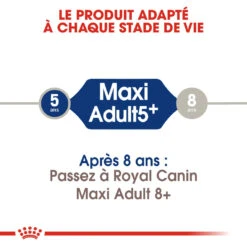 Royal Canin Maxi Adult 5+ Pour Chien 10kg -Chats Et Chiens Fournitures royal canin maxi adult croquettes pour chien maxi adult 2