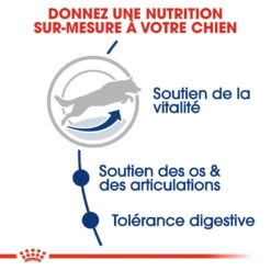 Royal Canin Maxi Adult 5+ Pour Chien 10kg -Chats Et Chiens Fournitures royal canin maxi adult croquettes pour chien maxi adult 3