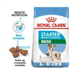 Royal Canin Mini Starter Mother & Babydog - 8Kg -Chats Et Chiens Fournitures royal canin mini starter mini starter 1