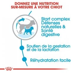 Royal Canin Mini Starter Mother & Babydog - 8Kg -Chats Et Chiens Fournitures royal canin mini starter mini starter 3