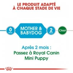 Royal Canin Mini Starter Mother & Babydog - 8Kg -Chats Et Chiens Fournitures royal canin mini starter mini starter 4