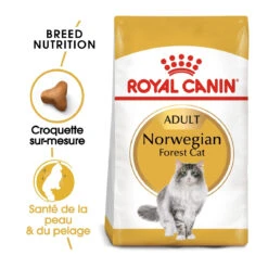 Royal Canin Chat Norvégien Adult 10kg 7 Royal Canin Chat Norvégien Adult 10kg -Chats Et Chiens Fournitures royal canin norvegien adult norvegien 1