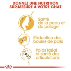 Royal Canin Chat Norvégien Adult 10kg 8 Royal Canin Chat Norvégien Adult 10kg -Chats Et Chiens Fournitures royal canin norvegien adult norvegien 2