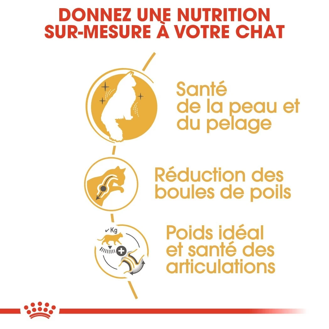 Royal Canin Chat Norvégien Adult 10kg 4 Royal Canin Chat Norvégien Adult 10kg – Image 4