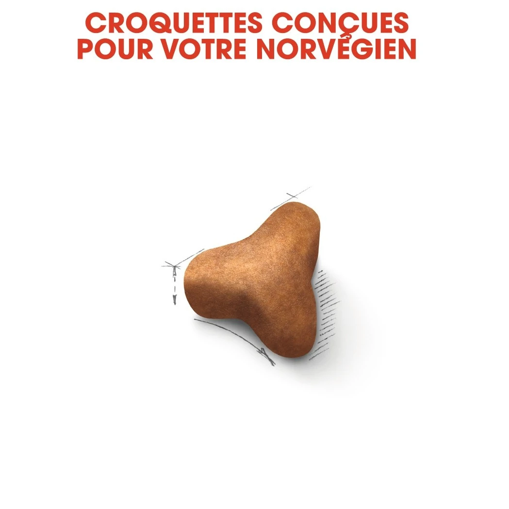 Royal Canin Chat Norvégien Adult 10kg 5 Royal Canin Chat Norvégien Adult 10kg – Image 5
