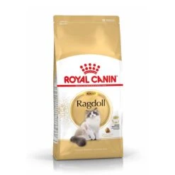 Royal Canin Ragdoll Adult Pour Chat 10kg -Chats Et Chiens Fournitures royal canin ragdoll adult ragdoll