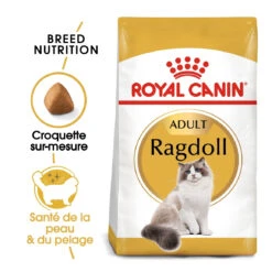 Royal Canin Ragdoll Adult Pour Chat 10kg -Chats Et Chiens Fournitures royal canin ragdoll adult ragdoll 1 1