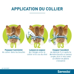 Seresto Collier Chat -Chats Et Chiens Fournitures seresto application du collier chez le chat