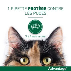 Advantage 80 Chat Et Lapin De Plus De 4 Kg -Chats Et Chiens Fournitures vignette puces